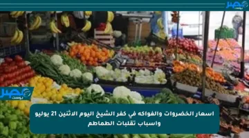 أسعار الخضروات والفواكه في كفر الشيخ اليوم الإثنين 21 يوليو وأسباب تقلبات الطماطم